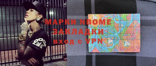 прущие грибы Новозыбков