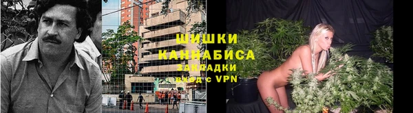 ALPHA PVP Белокуриха